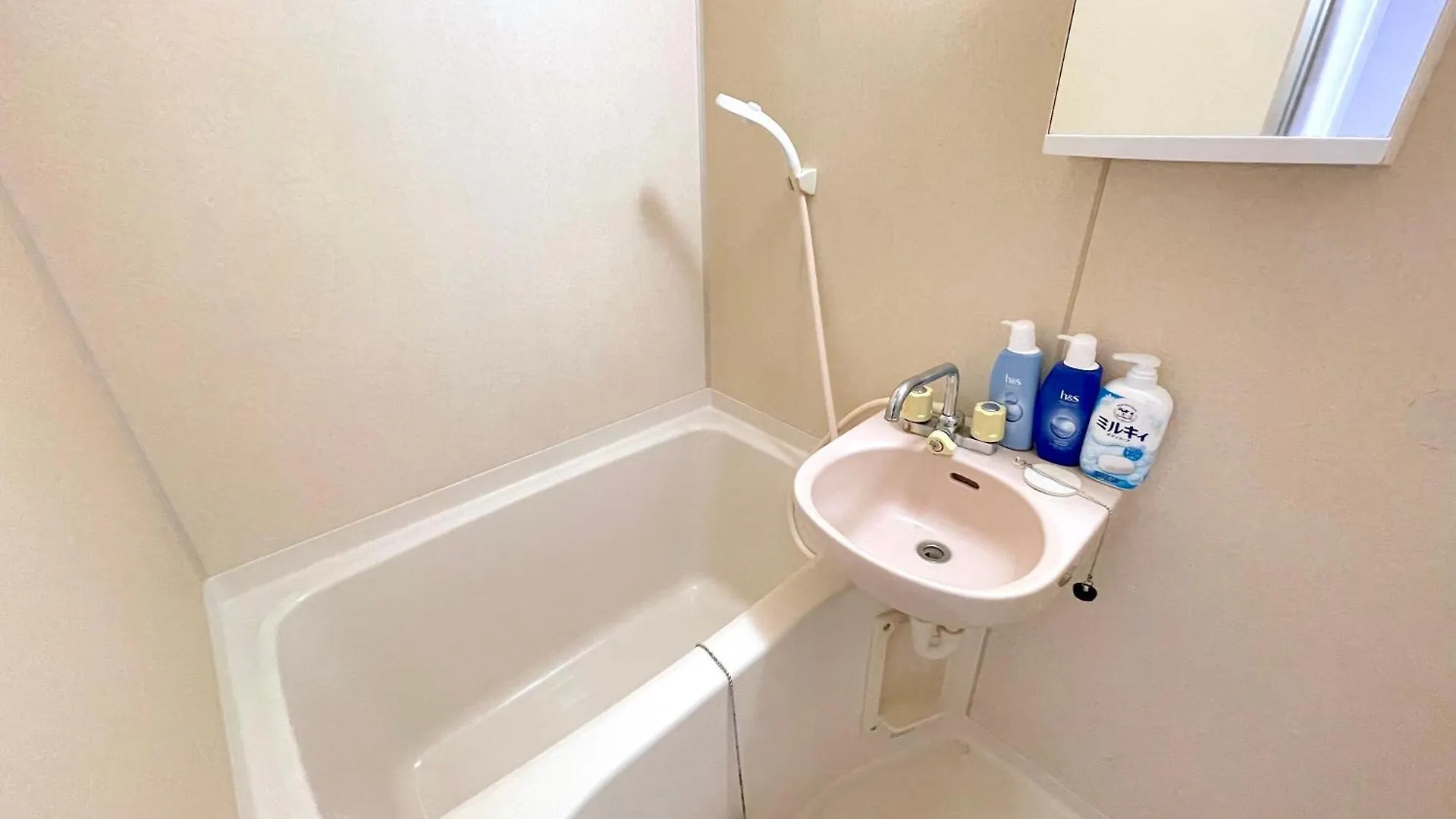 Apartment Gest Residence Edoriver Airport Line Self Check In Tokyo Japan